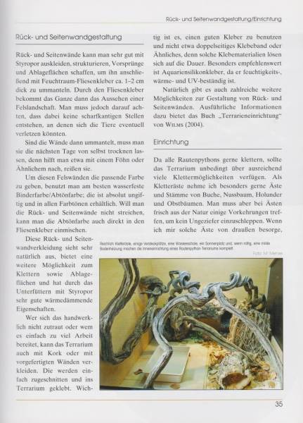 Preview: Rautenpythons